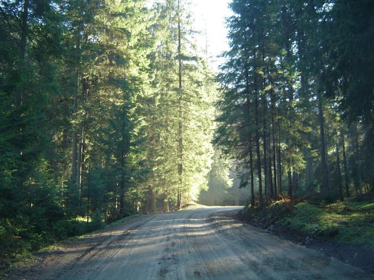 Руська з panoramio.com - Ruska