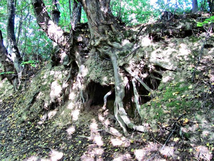Калагарівка з panoramio.com - Калагаровка