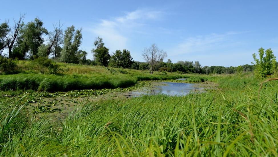 Лукищина з panoramio.com - Lukyschyna