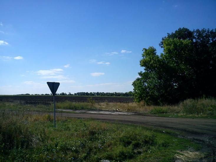 Василівська Пустош з panoramio.com - Василівська Пустош