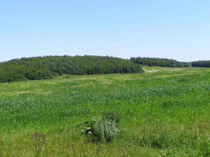 Підцурків з panoramio.com - Підцурків