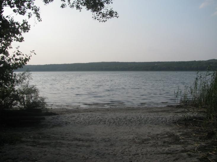 Новоплатонівка з panoramio.com - Новоплатоновка