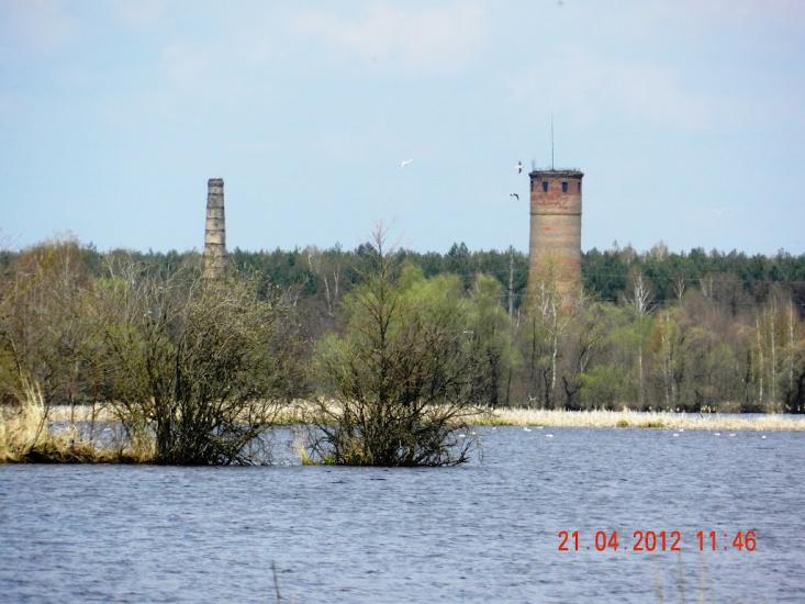 Зноб-Новгородське з panoramio.com - Зноб-Новгородське