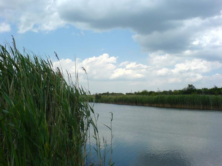 Пантелеймонівка з panoramio.com - Пантелеймонівка