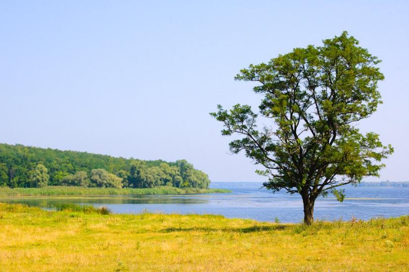 Гороховатка з panoramio.com - Гороховатка