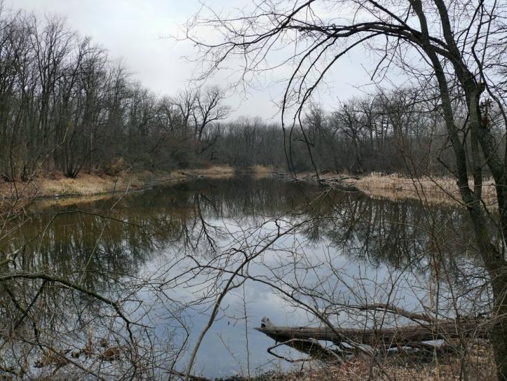 Підлісне з panoramio.com - Pidlisne