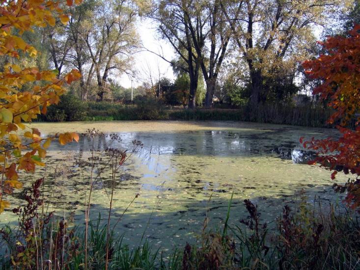 Вишевичі з panoramio.com - Вышевичи