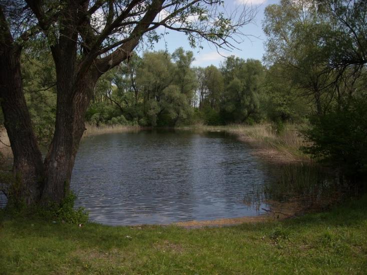 Святилівка з panoramio.com - Святиловка