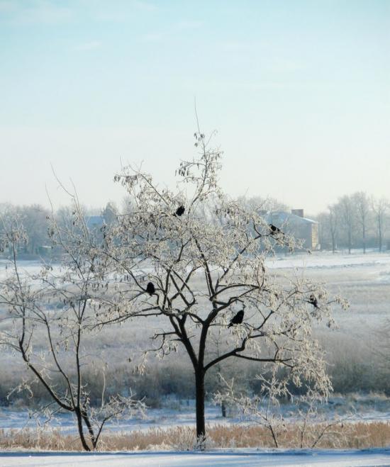 Пологи з panoramio.com - Пологи