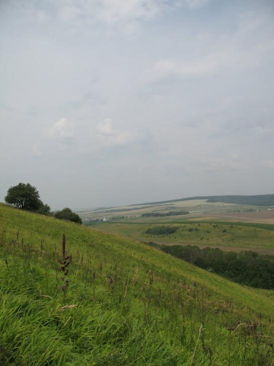 Путятинці з panoramio.com - Путятинці