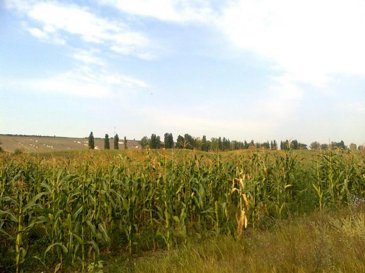 Верхня Слобідка з panoramio.com - Верхня Слобідка