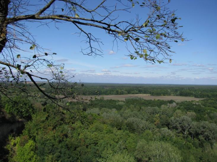 Яреськи з panoramio.com - Яреськи