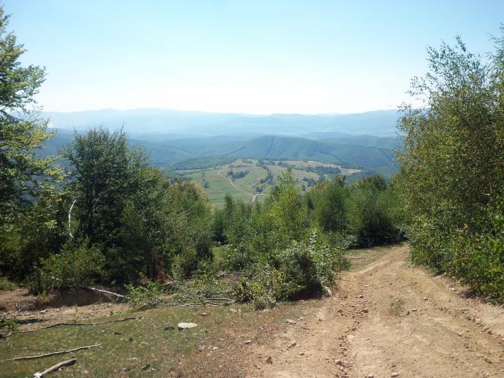 Вільшинки з panoramio.com - Вільшинки