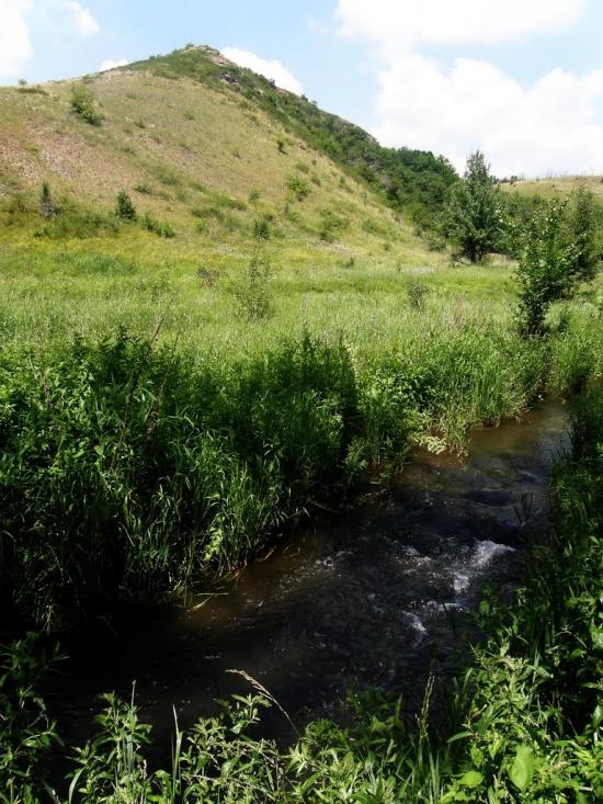 Нагольно-Тарасівка з panoramio.com - Nagolno-Tarasivka