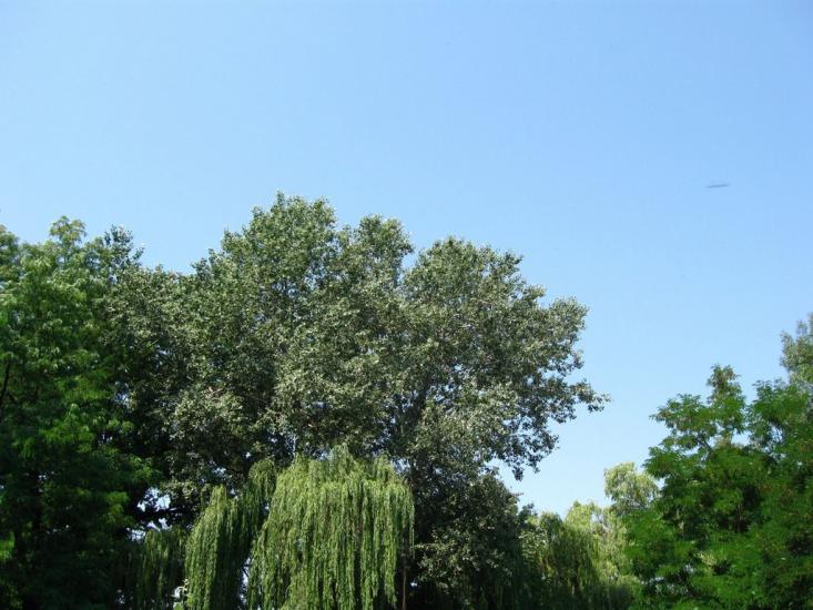 Золотоноша з panoramio.com - Золотоноша