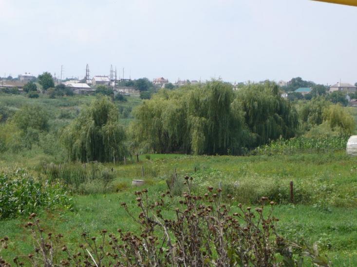 Великий Дальник з panoramio.com - Velykyy Dalnyk