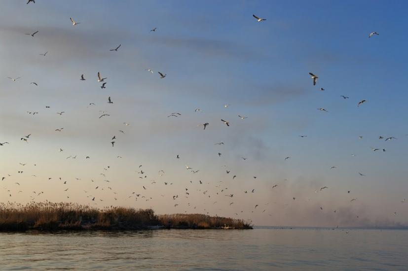 Лисогірка з panoramio.com - Лисогорка