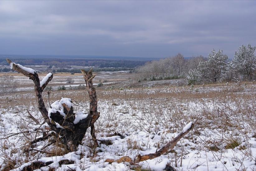Кицівка з panoramio.com - Кицевка