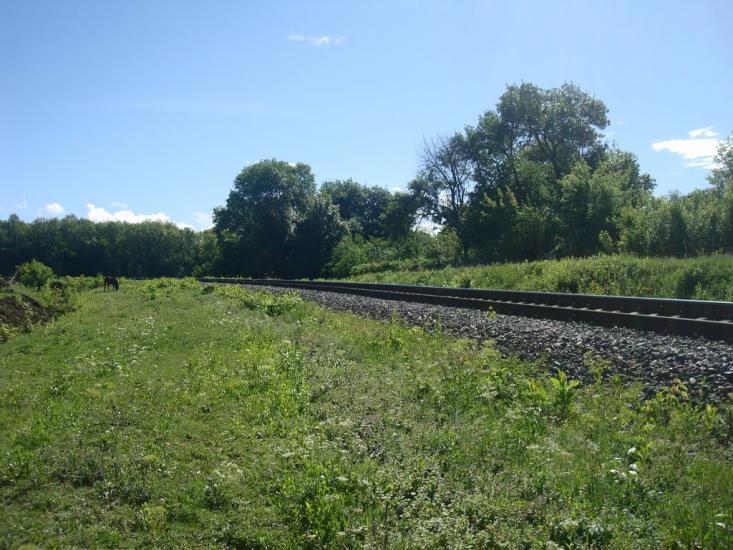Городок з panoramio.com - Городок