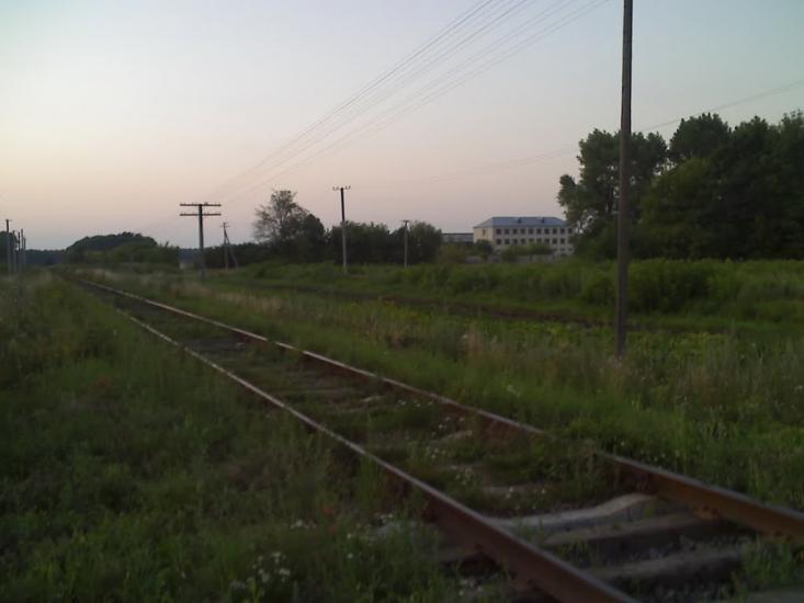 Великі Бірки з panoramio.com - Великие Борки