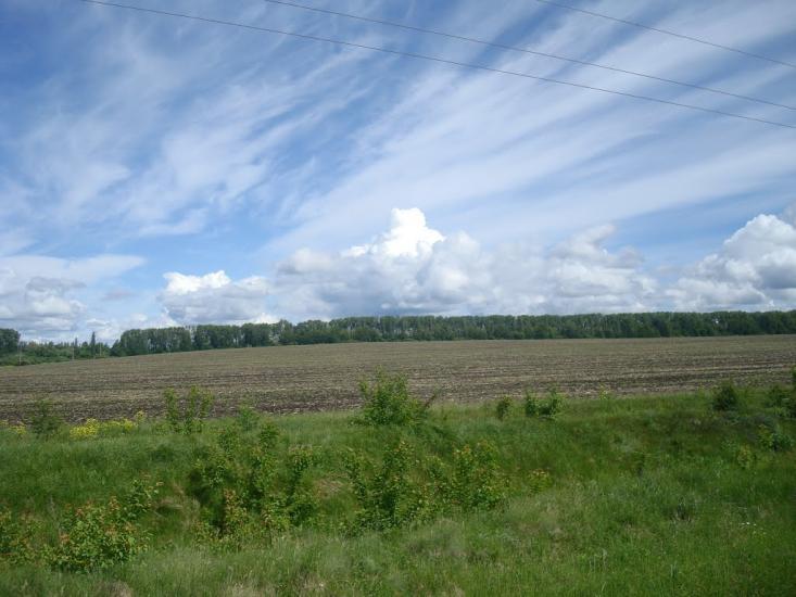 Жищинці з panoramio.com - Жищинці