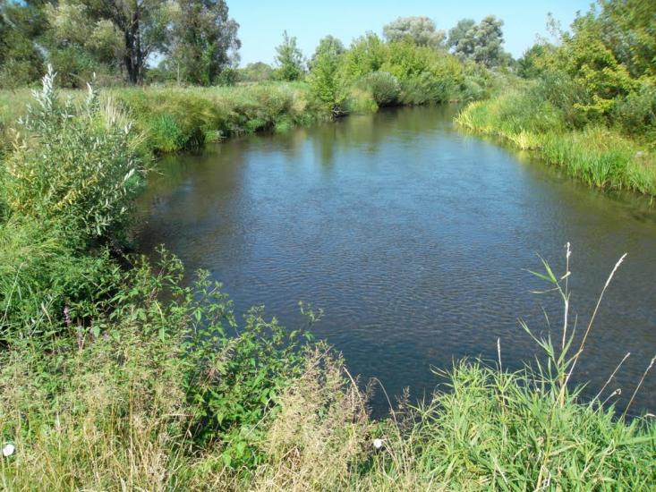 Ялцівка з panoramio.com - Ялцовка