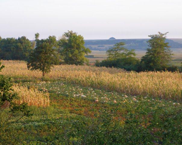 Башилівка з panoramio.com - Bashylivka