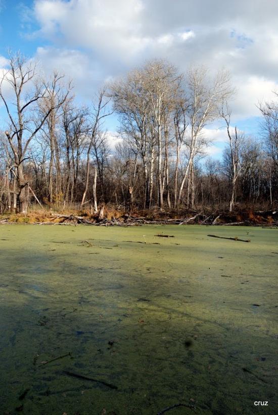 Великий Тростянець з panoramio.com - Velykyy Trostyanets