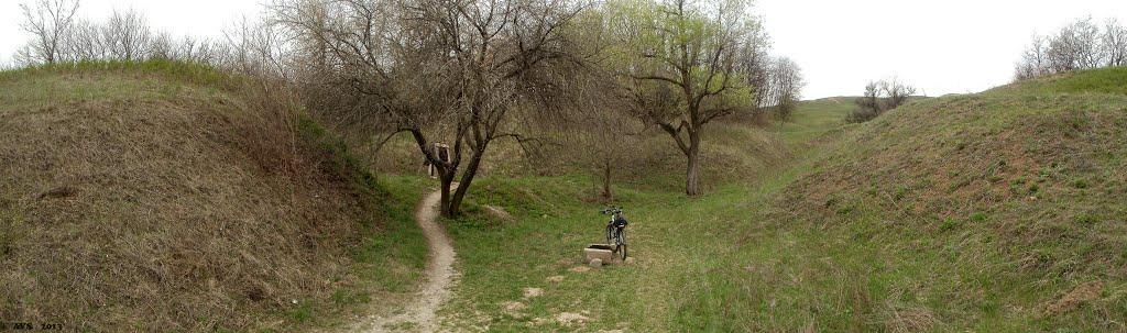 Зайцеве з panoramio.com - Зайцеве