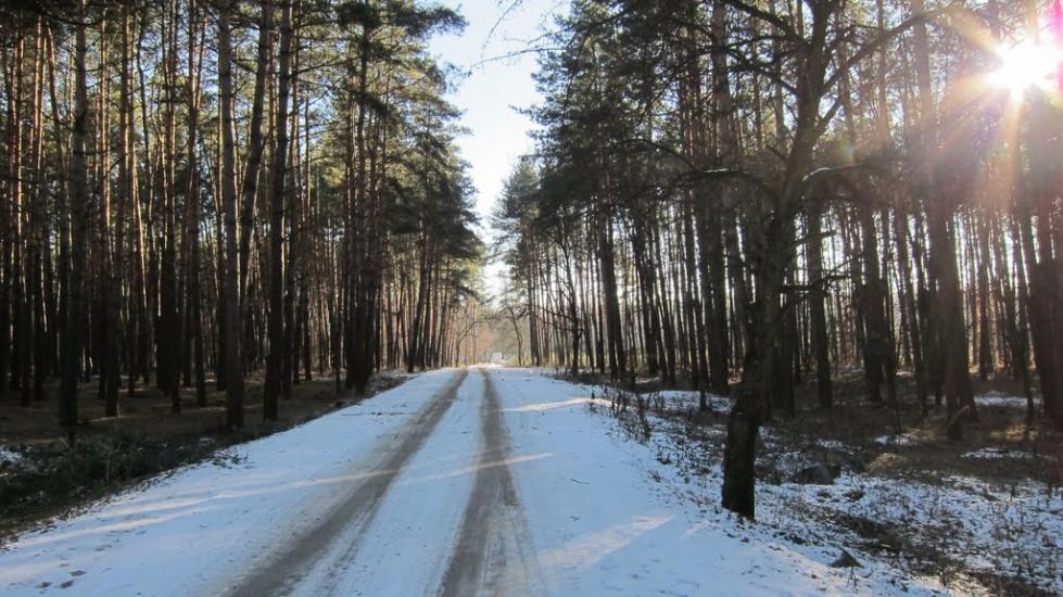 Городище-Пустоварівське з panoramio.com - Городище-Пустоваровское