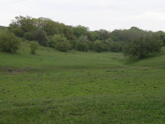 Придніпрянське з panoramio.com - Придніпрянське