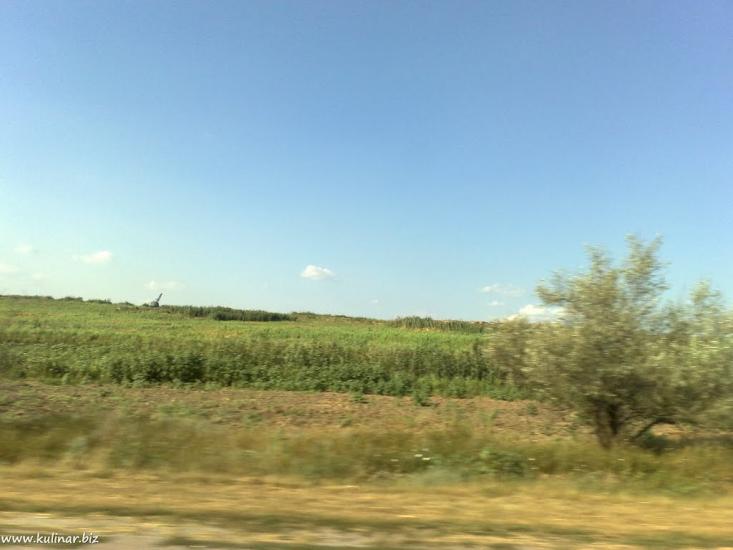 Балабине з panoramio.com - Балабине