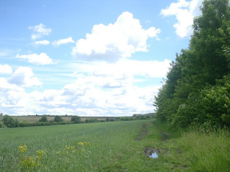 Жищинці з panoramio.com - Жищинцы