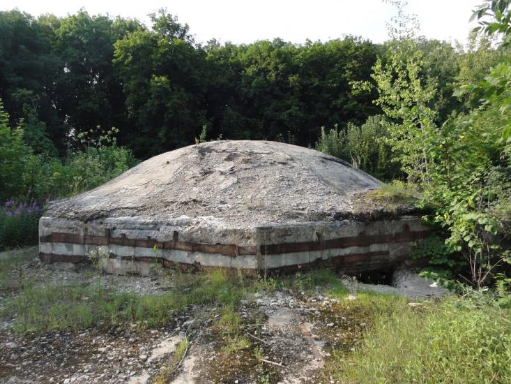 Дзензелівка з panoramio.com - Дзензелівка