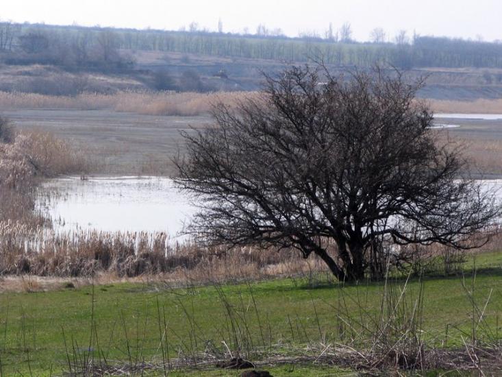 Придніпрянське з panoramio.com - Придніпрянське