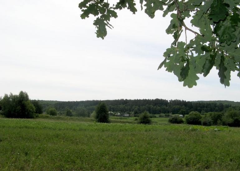 Малий Вистороп з panoramio.com - Малый Выстороп