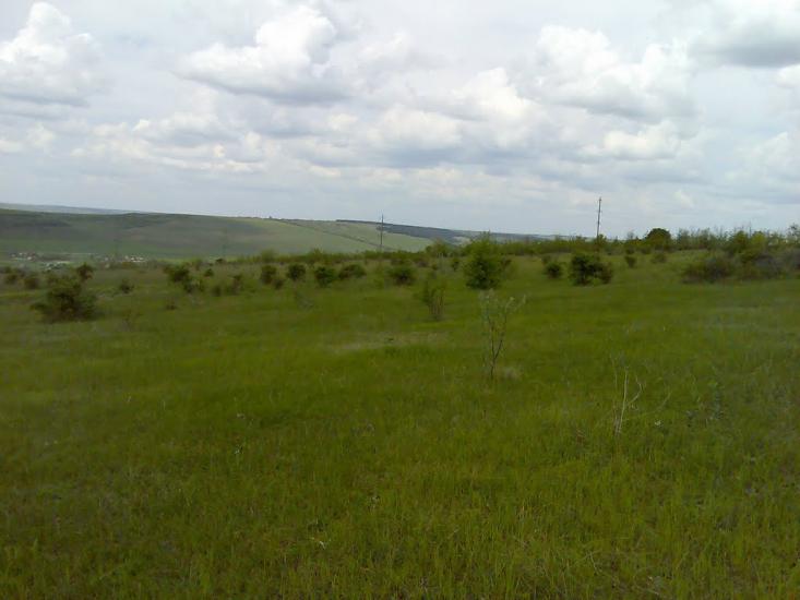 Фрунзівка з panoramio.com - Фрунзівка
