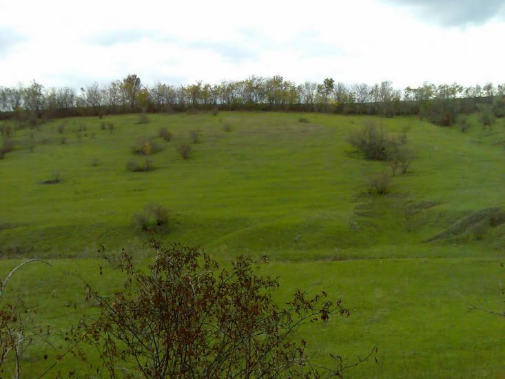 Фрунзівка з panoramio.com - Фрунзівка