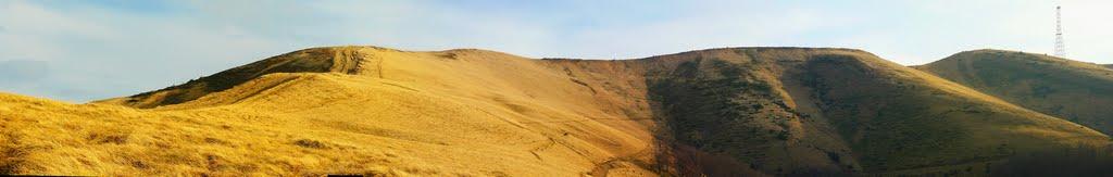 Мерешор з panoramio.com - Мерешор