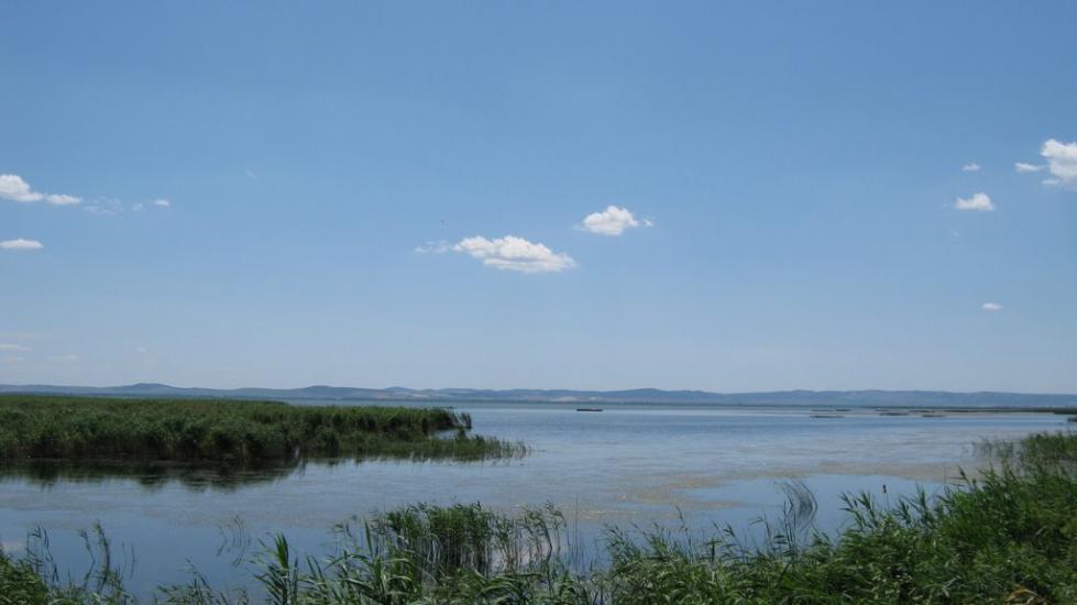 Нова Некрасівка з panoramio.com - Nova Nekrasivka