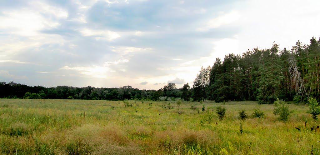 Синичине з panoramio.com - Синичине