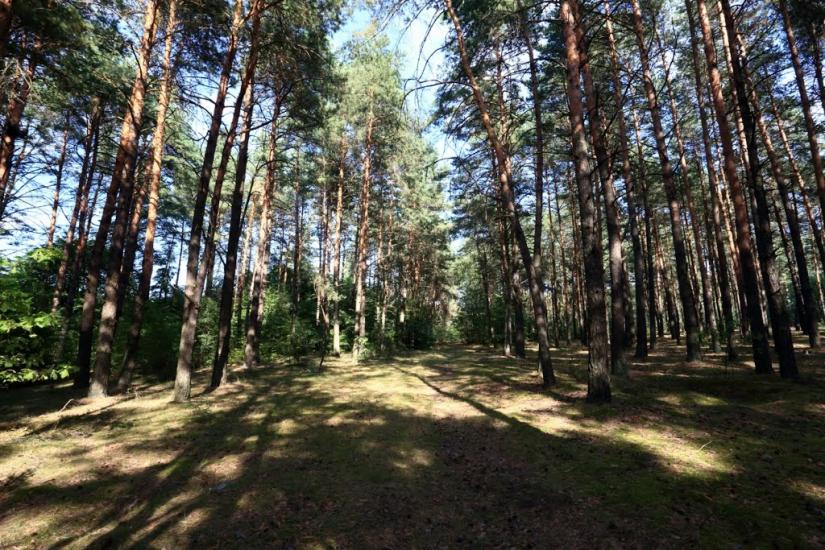 Буцин з panoramio.com - Буцин