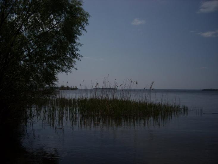 Святилівка з panoramio.com - Святиловка