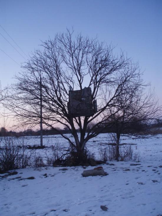 Рогізне з panoramio.com - Рогозное