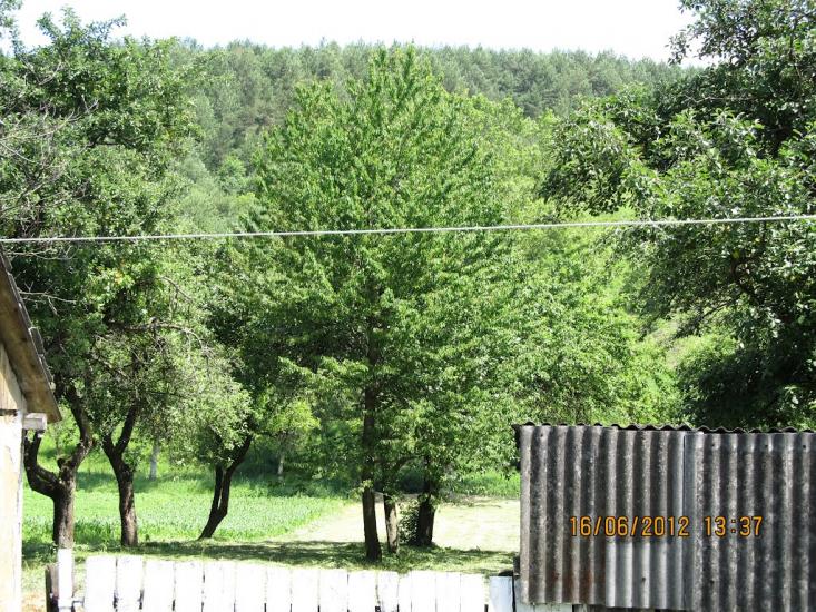 Подусільна з panoramio.com - Подусильна
