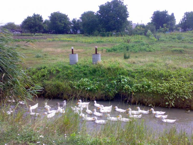 Каланчак з panoramio.com - Каланчак