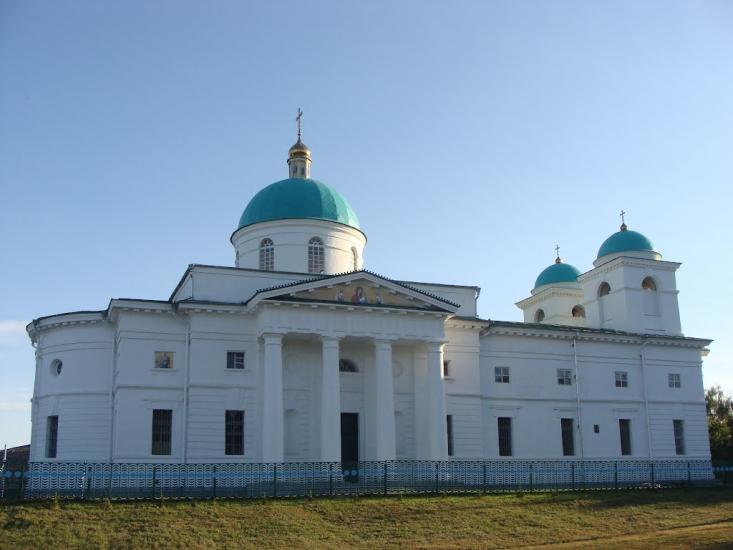 Ромашки з panoramio.com - Ромашки