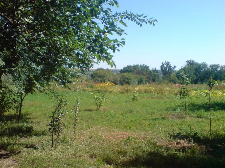 Новоархангельськ з panoramio.com - Novoarkhangelsk