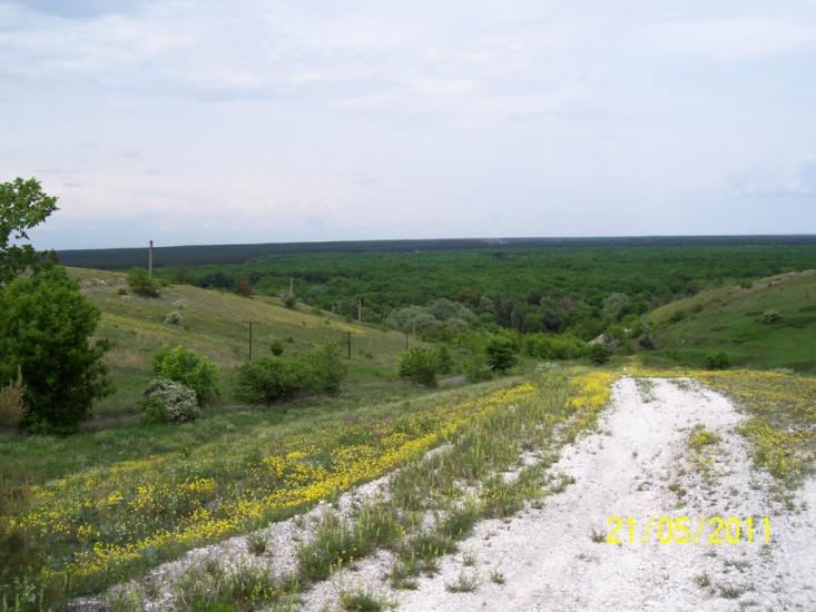Пискунівка з panoramio.com - Pyskunivka
