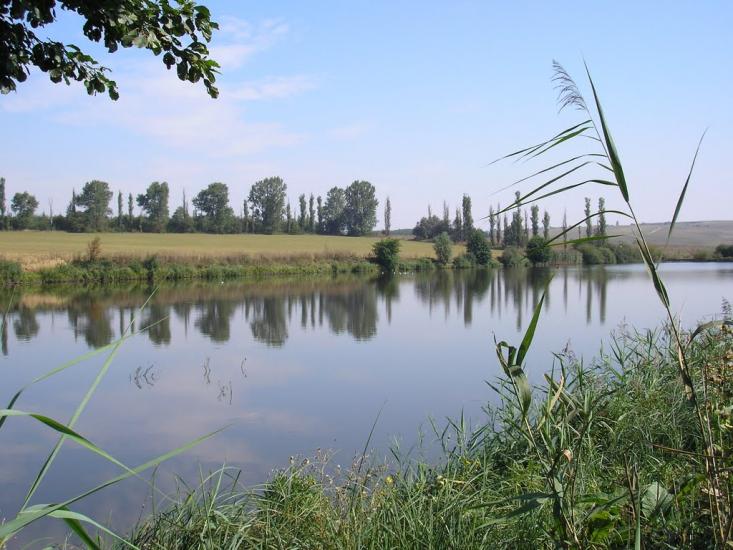 Стуфчинці з panoramio.com - Стуфчинцы